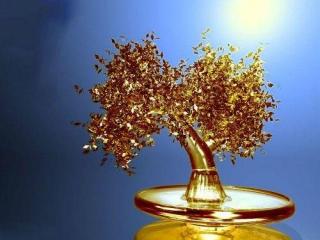 specially programmed debit cards for sale.