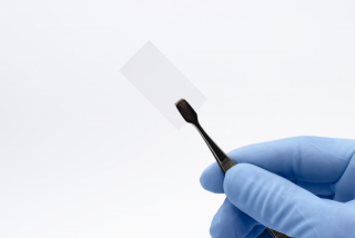 Acesso Biologics – Amniotic Membrane Allograft